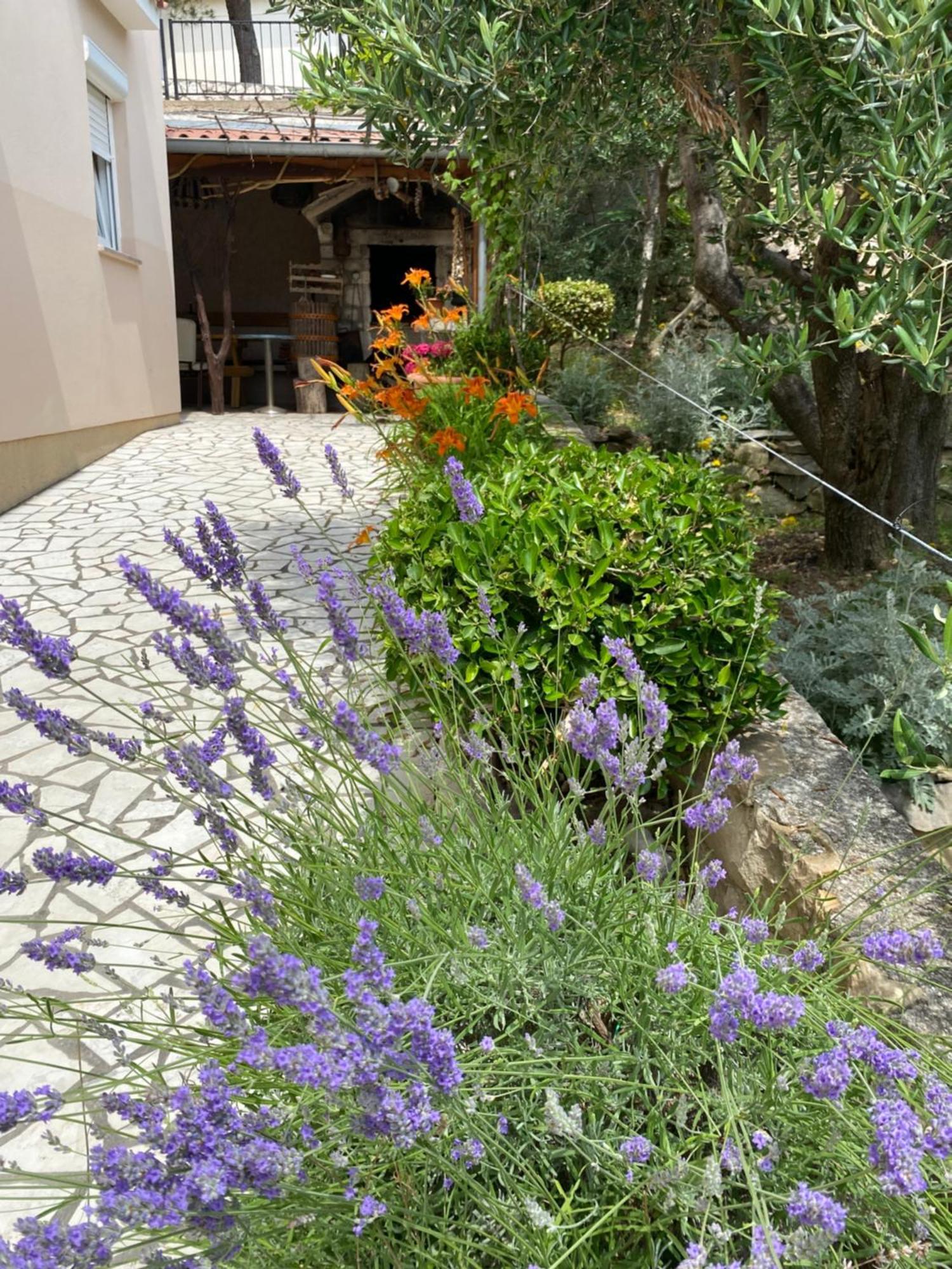Apartments Vesna Banjol Exterior photo